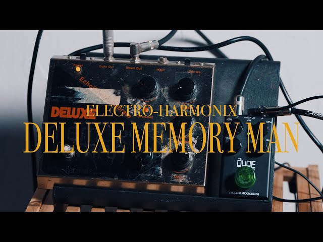 ELECTRO-HARMONIX DELUXE MEMORY MAN - YouTube