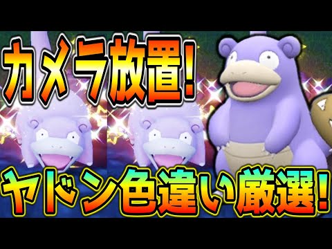 カメラ放置！見ているだけのヤドン・ヤドラン色違い厳選方法