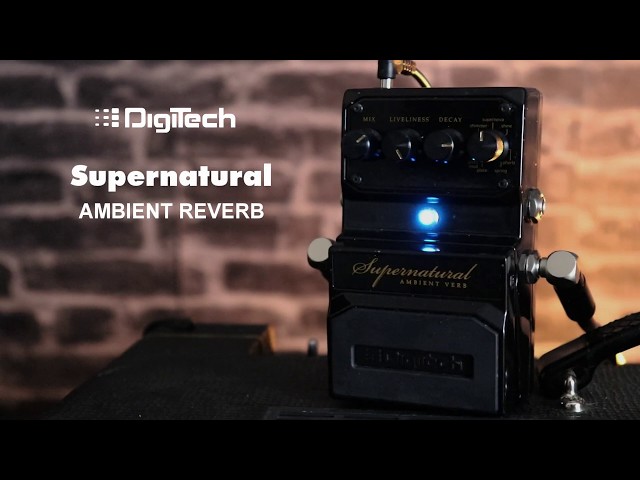 Digitech - SUPERNATURAL Ambient Reverb - YouTube