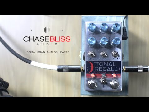 Chase Bliss Tonal Recall - YouTube