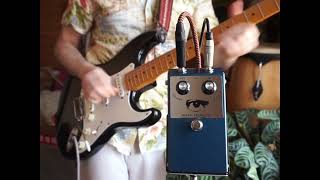 BABY FACE(Ge) | Umbrella Company | アンブレラカンパニー