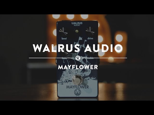 Walrus Audio Mayflower | Reverb Demo Video - YouTube