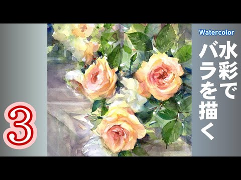Garden roses painted with transparent watercolors by Yoshimoto