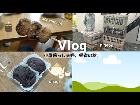 Kazu-chan vegetable garden - YouTube