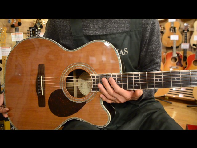 NEW/Greg Bennett OM-8CE特価品@guitarshoptantan - YouTube