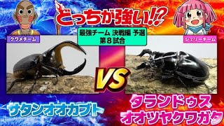 どっちが強い!?最強チーム決戦編 】第8試合 サタンオオカブトvs