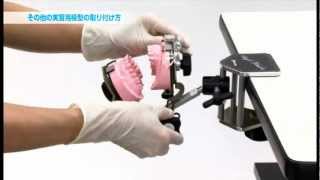 シンプルマネキンⅢチェアマウントセット｜株式会社ニッシン｜歯科模型