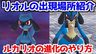 ポケモンZA】リオル ルカリオ 出現場所 入手方法 進化方法 攻略