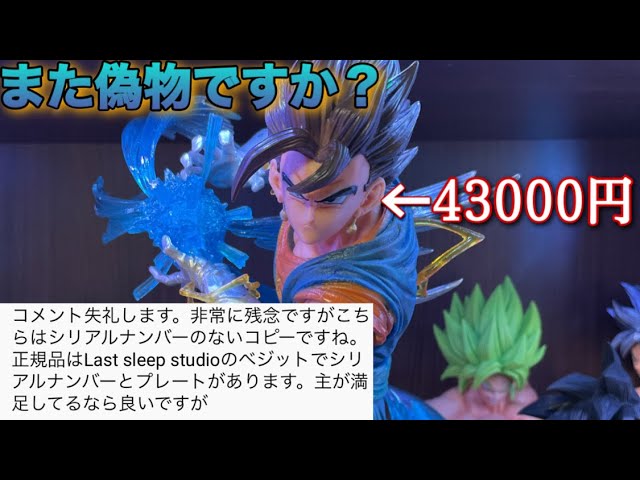 Dragon Ball] Please stop The Vegito I paid a lot of money for