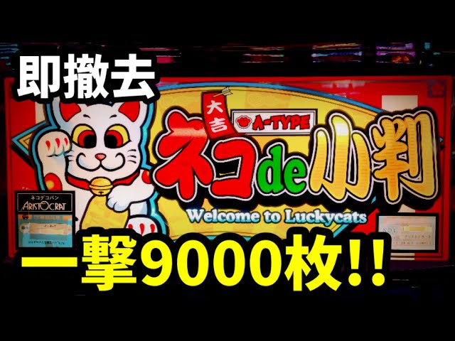 ネコde小判】開始1Gから攻略法で1/819000直撃!?一撃9000枚フラグ搭載の