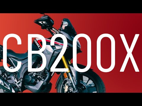 ゆっちん ちゃんねる - YouTube