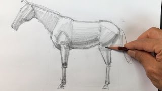 Basics of watercolor painting ~ Tips for drawing a horse Part 1 5