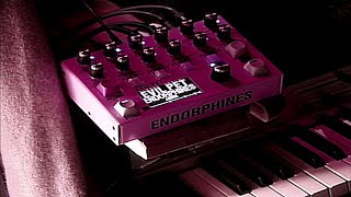 EVIL PET — ENDORPHIN.ES