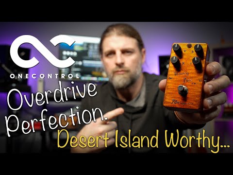 I've tried them ALL, and this NAILS IT! | One Control 