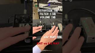 RAT Distortion | LIL' RAT | モリダイラ楽器