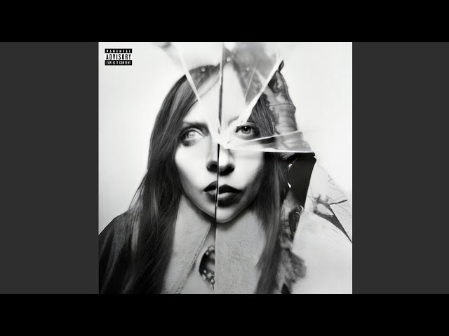 ○Lady Gaga - Perfect Celebrity (Male Version) - YouTube