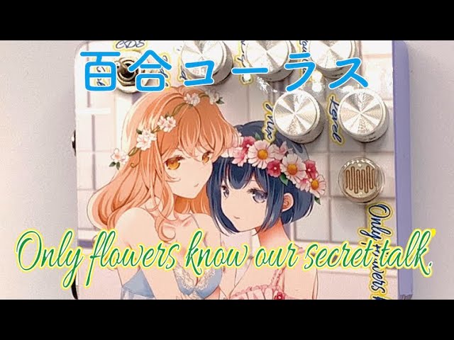 Brilliant lily flower chorus『Only flowers know our secret talk