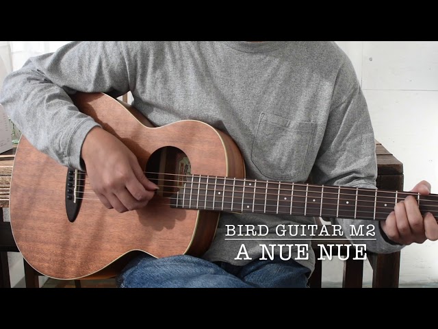 A NUE NUE BIRDGUITAR M2 - YouTube