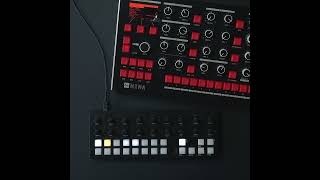 Torso T-1・White Algorithmic Sequencer | Rock oN Line eStore