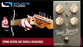 Source Audio SA247 True Spring Reverb - ブラックフェイス期の
