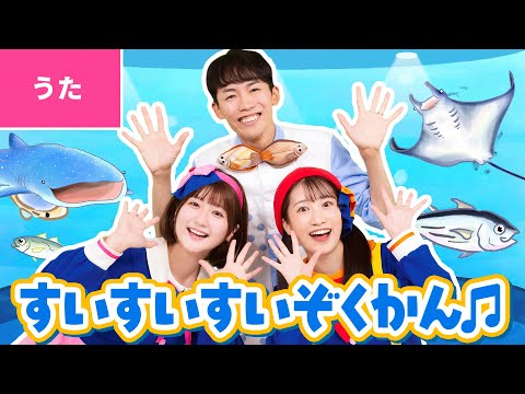 ♪すいすいすいぞくかん〈さかなのおにいさん かわちゃん×ボンボン