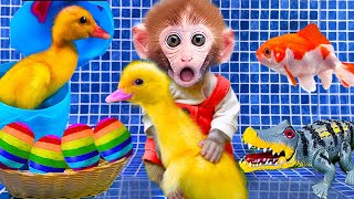 mqdefault.jpg?days_since_epoch