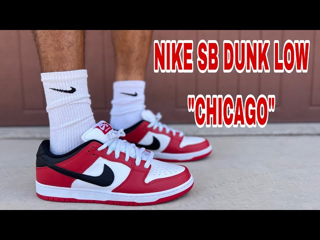 NIKE SB DUNK LOW 