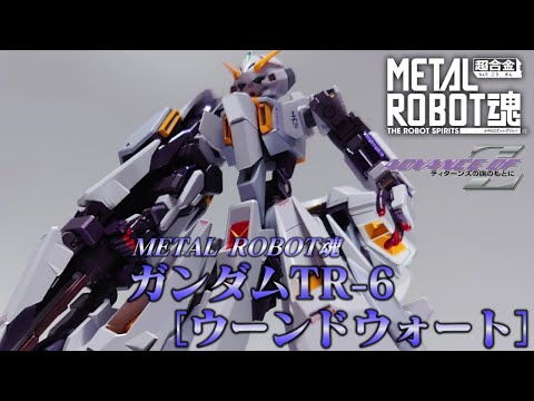 METAL ROBOT SPIRITS] Gundam TR-6 [Woundwort] Review and Posing