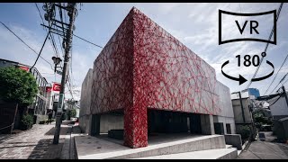 Hajime Kinoko x Standby｜kumagaimasato