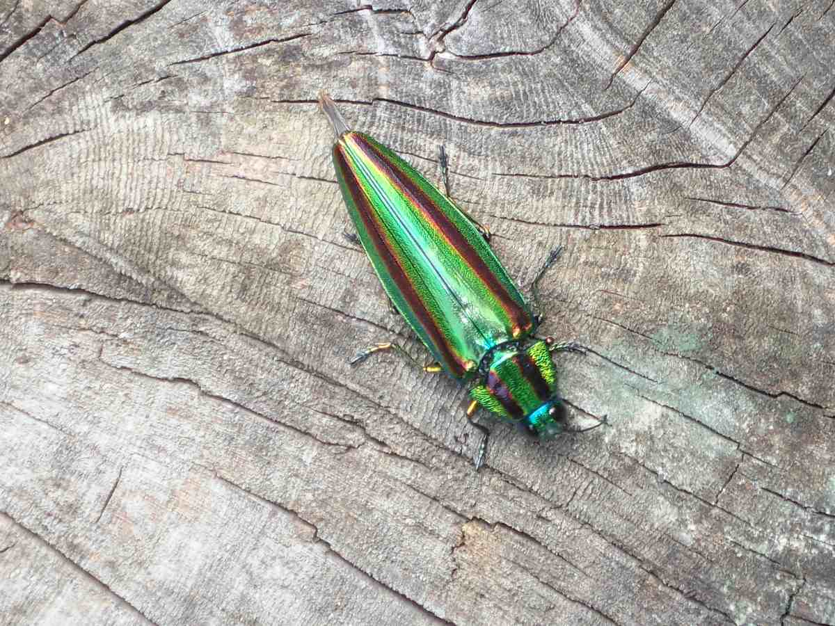 詳細検索：環境省