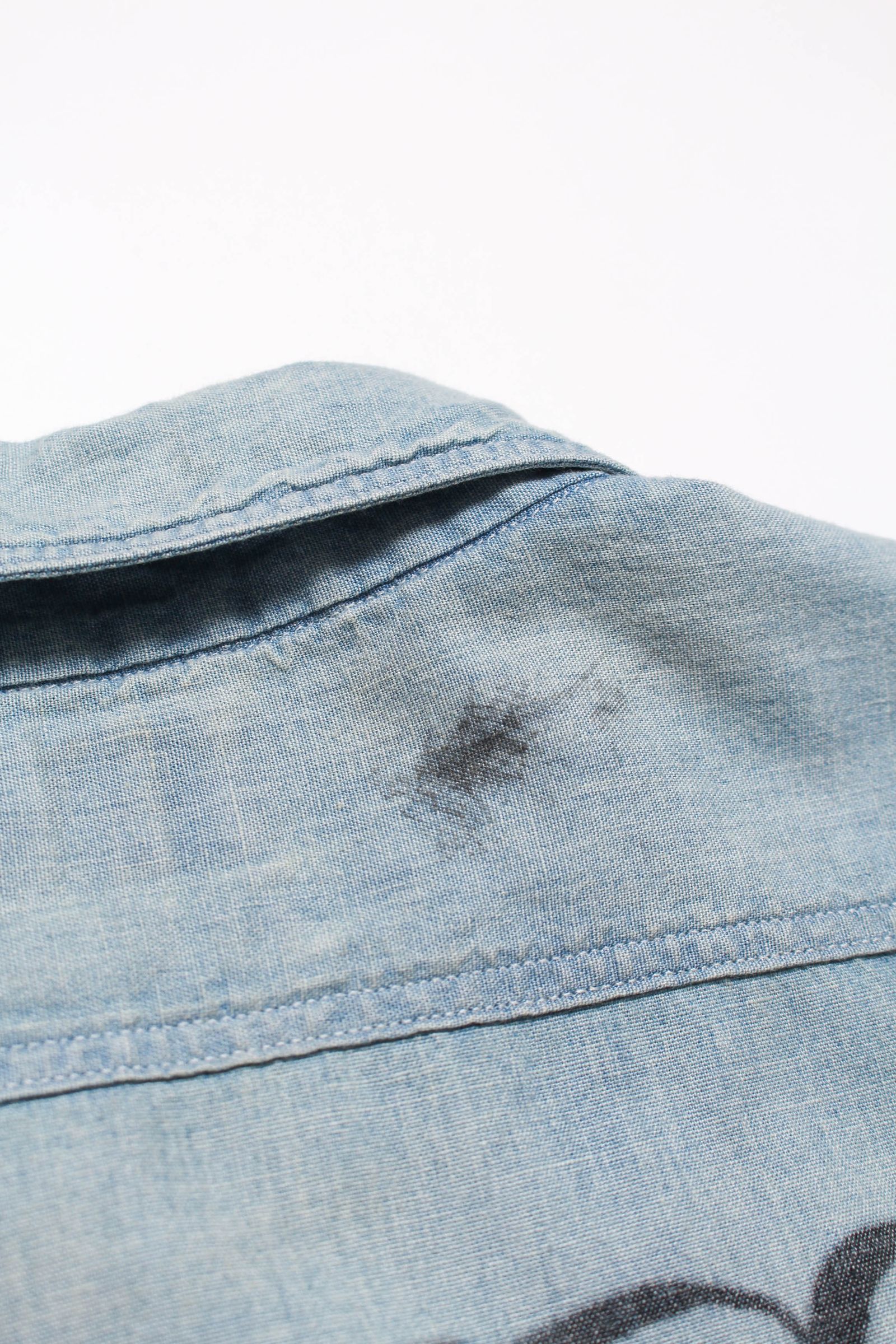 BOWWOW - BOW WOW 26 New Year Release Items バウワウ SKETCH ZOMBOO