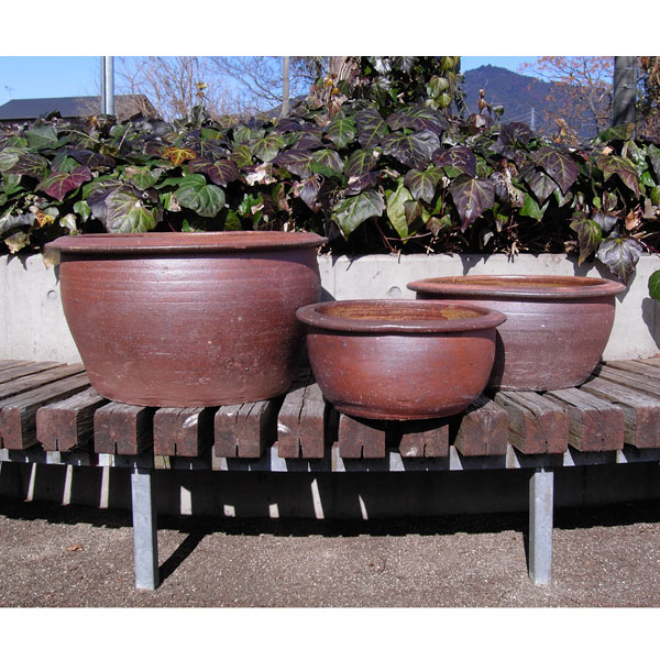 園芸ネット本店｜丸浅睡蓮鉢L・M・S 3個セット（直径60cm・50cm・40cm