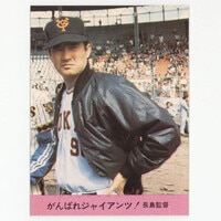 カルビー プロ野球カード 1973年度版 №69 木俣達彦 旗