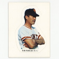 カルビー プロ野球カード 1973年度版 №69 木俣達彦 旗