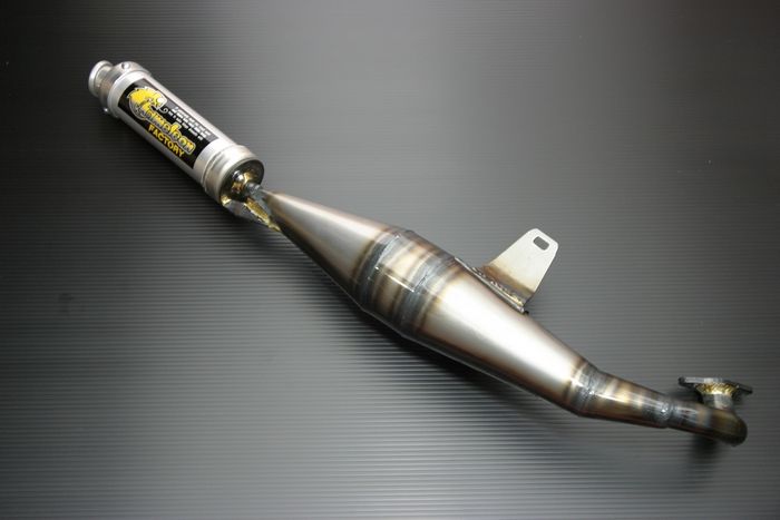 Webike | CHAMELEON FACTORY カメレオンファクトリー パラライザーIII