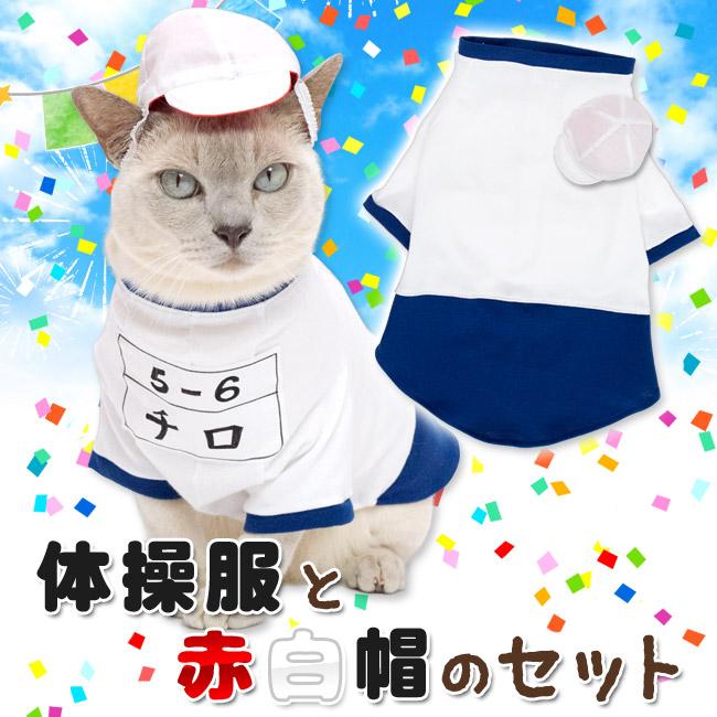 ゴロにゃんオリジナル猫服 体操服と赤白帽のセット ネイビー (27317