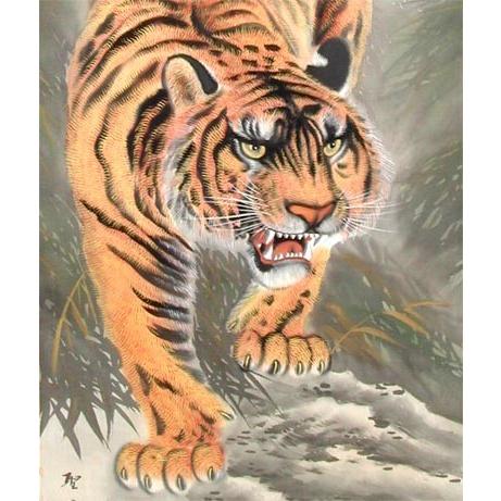 掛け軸 猛虎之図 (葛谷聖山) 【掛軸】【一間床・半間床】【虎