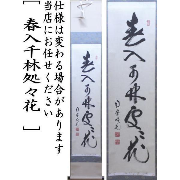 茶道具 掛軸 掛け軸 一行 春入千林処々花 田島碩應筆 茶道 : 茶道具
