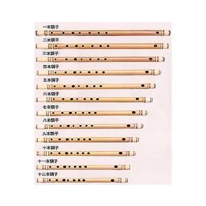 天柊 篠笛 八本調子 正律管（ドレミ調） : ロッキンダディ - 通販