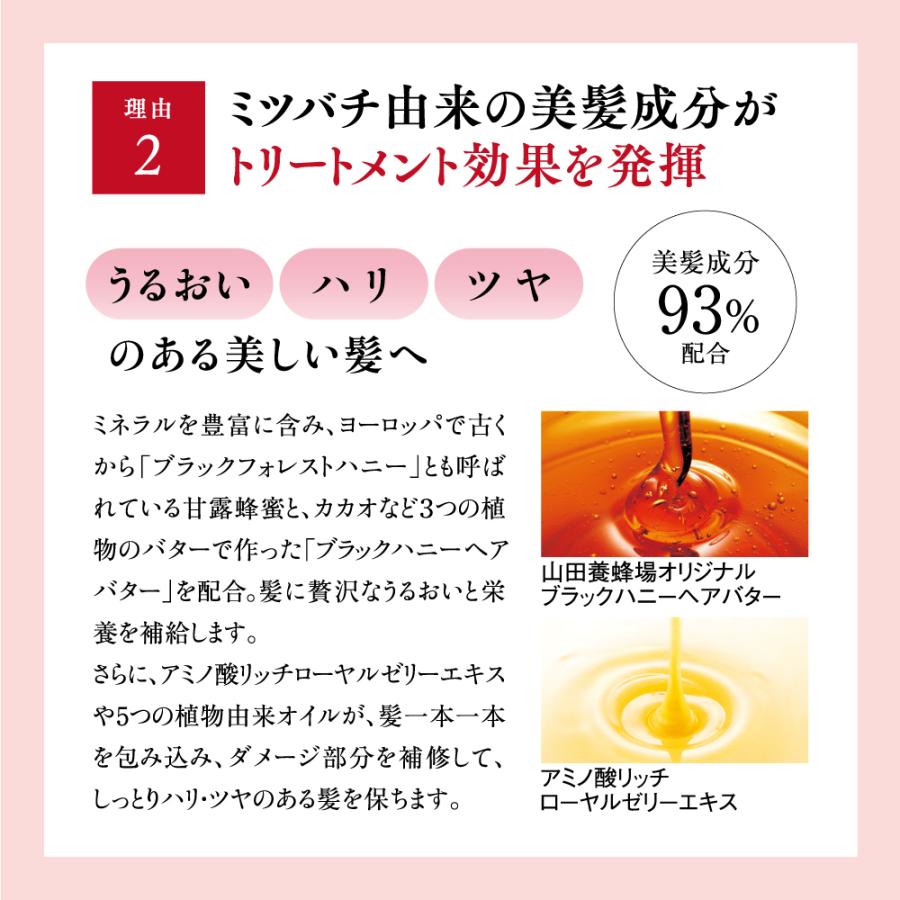 山田養蜂場 RJヘアカラートリートメント ライトブラウン 210g ダメージ