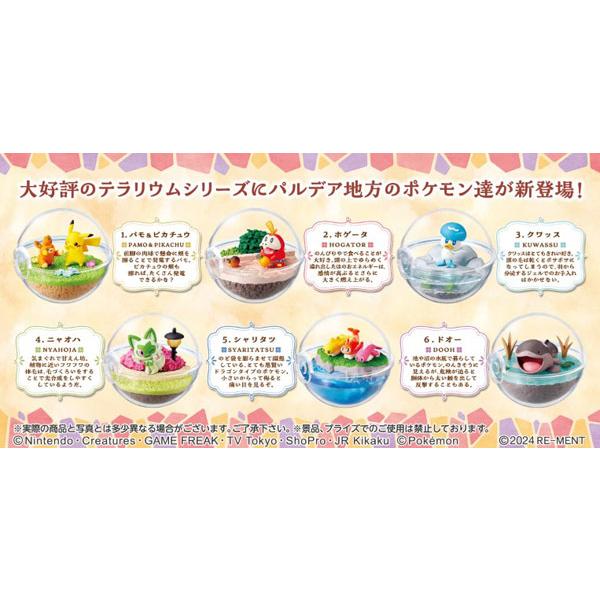 リーメント ポケットモンスター テラリウムコレクションEX 〜駆け巡る