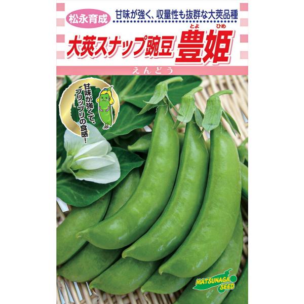 松永育成 大英スナップえんどう 豊姫 1L詰 さやえんどう サヤエンドウ