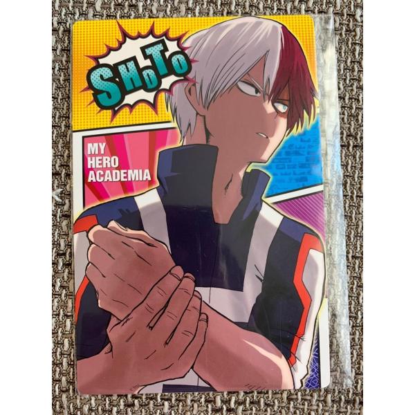 nikottojapan_bkhadp20