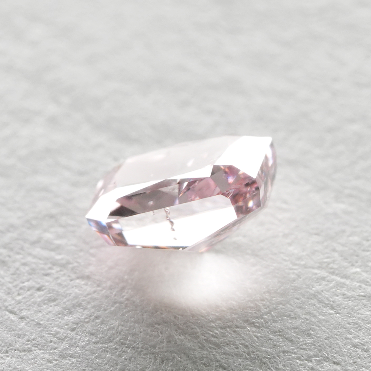 鮮やかなストレートピンクが印象的なインテンスピンクが入荷しました