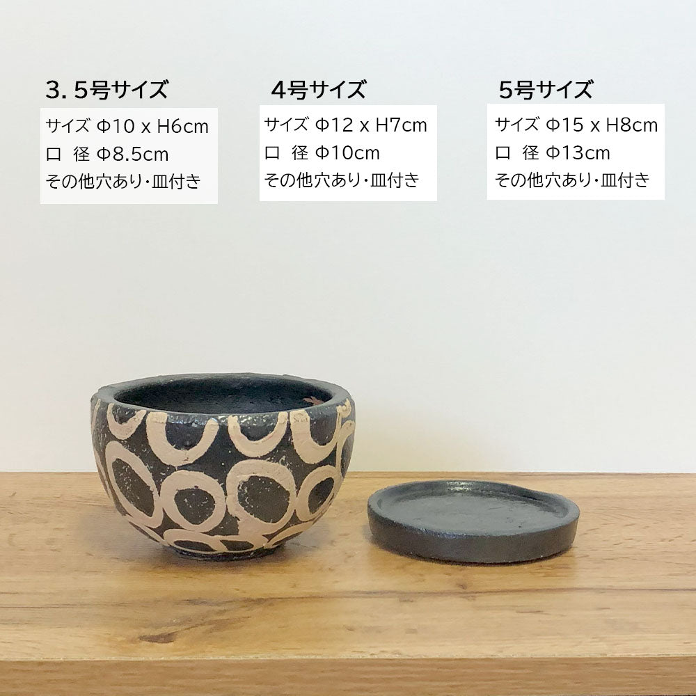 宝石のような観葉植物のお店 【Jewelry Plant】 陶器鉢 4号 デザイン