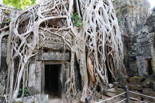 タ・プローム | カンボジア クロマーマガジン