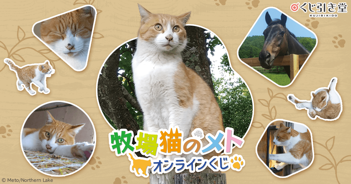 牧場猫のメト オンラインくじ | くじ引き堂