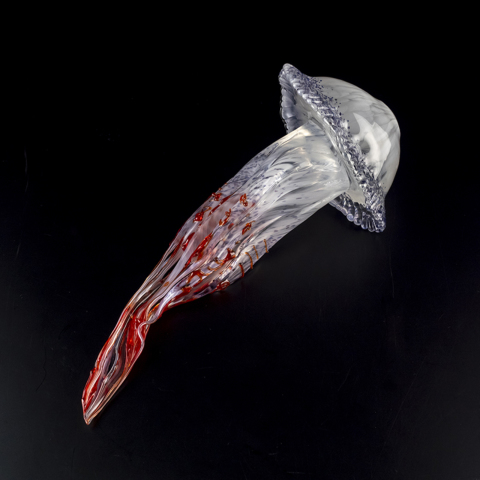 Pino Signoretto クラゲ | 全ての商品 | 黒壁公式オンラインショップ