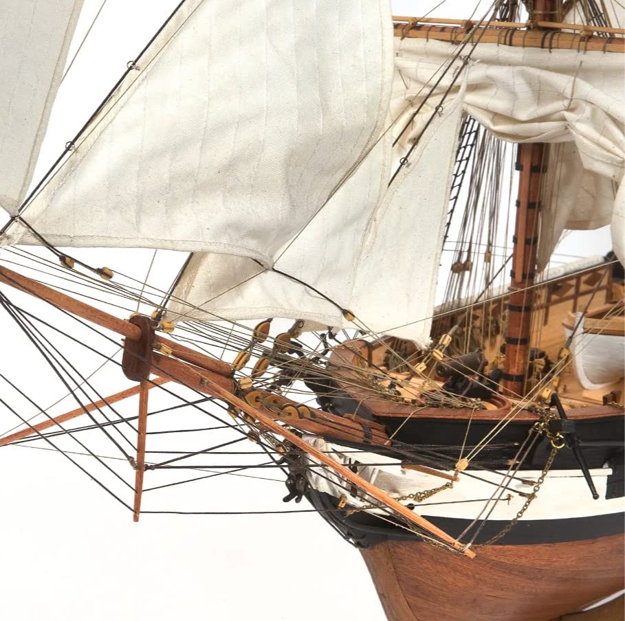 Amazon | 帆船模型キット H.M.Sビーグル （木製模型ツールセット