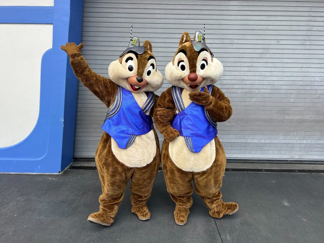 熊の出没により再登場！近未来的なコスチュームのチップとデール - WDW